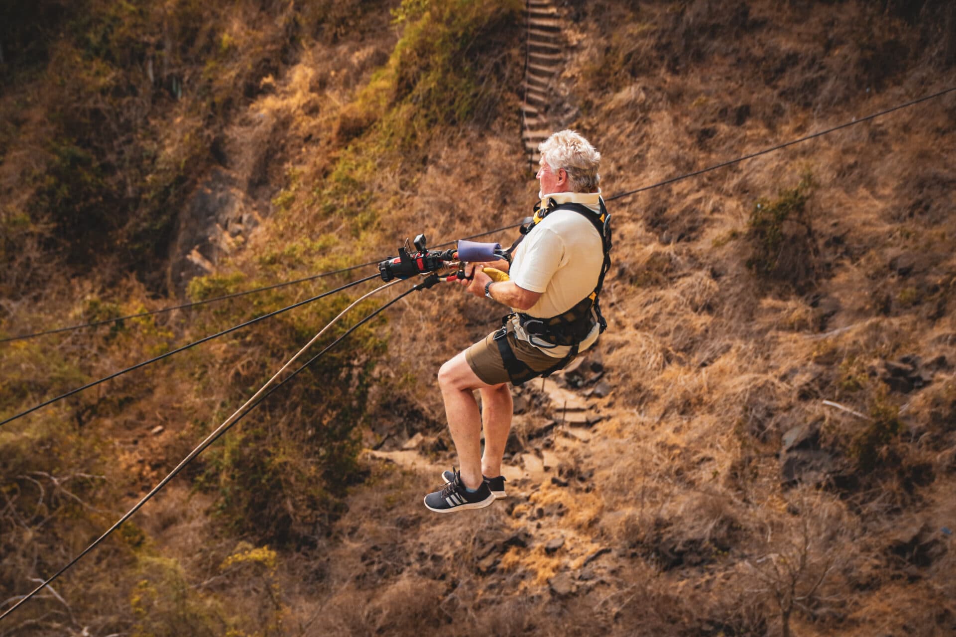 The Bridge Swing — photo 4