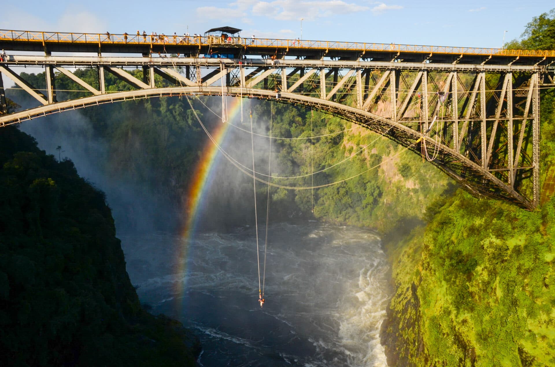The Bungee Jump