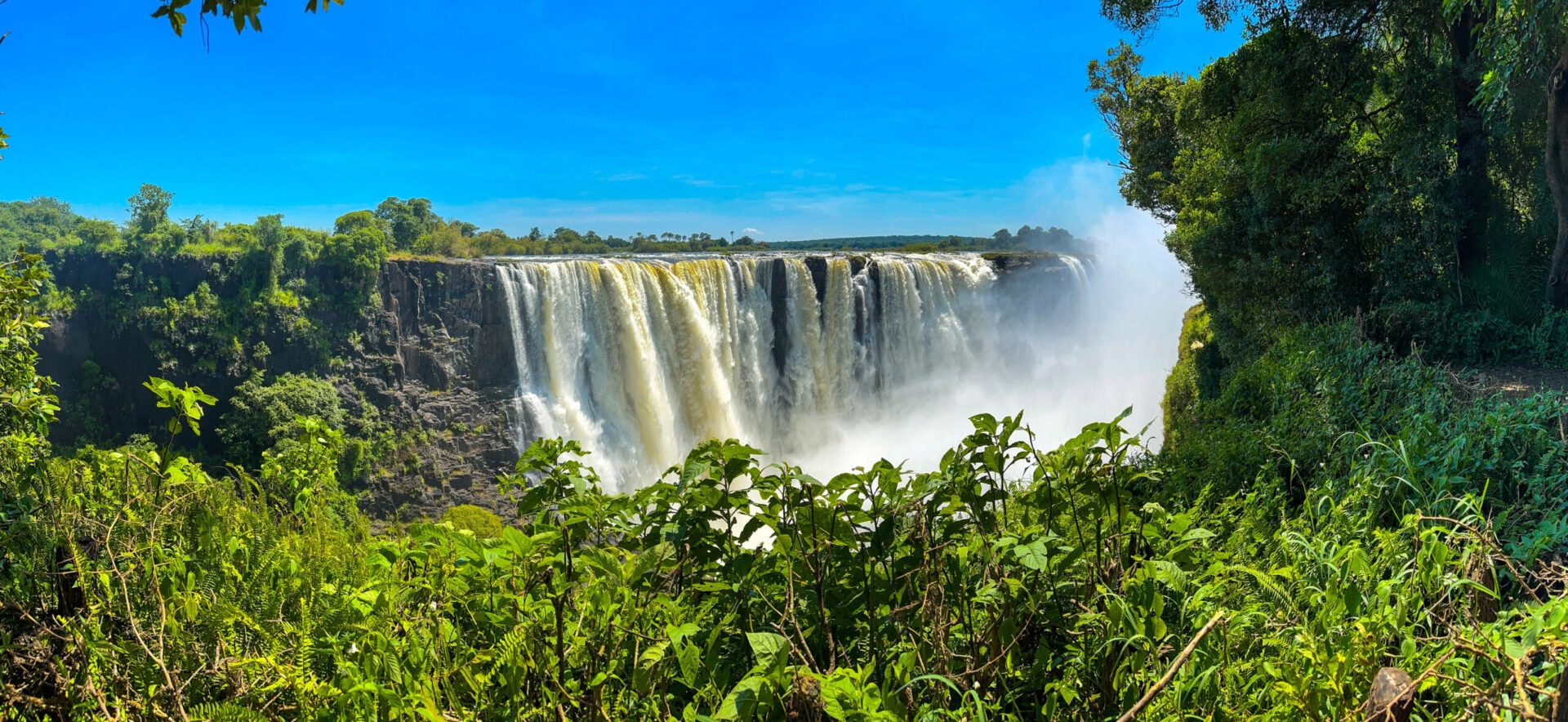 Victoria Falls thundering over the gorge on the guided rainforest tour.